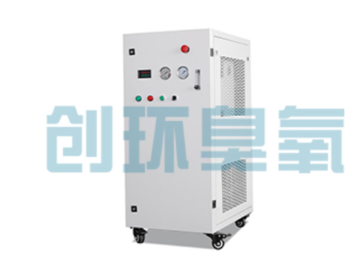 安康石斑鱼养殖水质调控完整指南：臭氧发生器配置与操作步骤