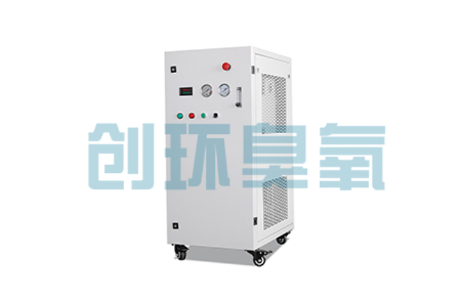 安康比传统换水更高效？臭氧发生器在石斑鱼养殖中的水质净化原理解析